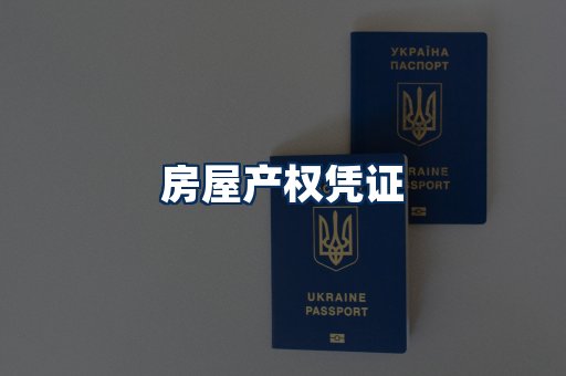 身份信息卡系列